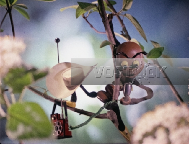 Вот так чемпионы! (1971)