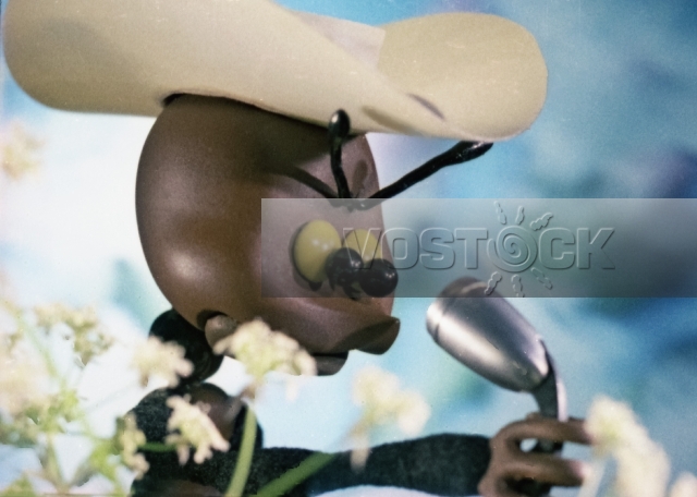 Вот так чемпионы! (1971)