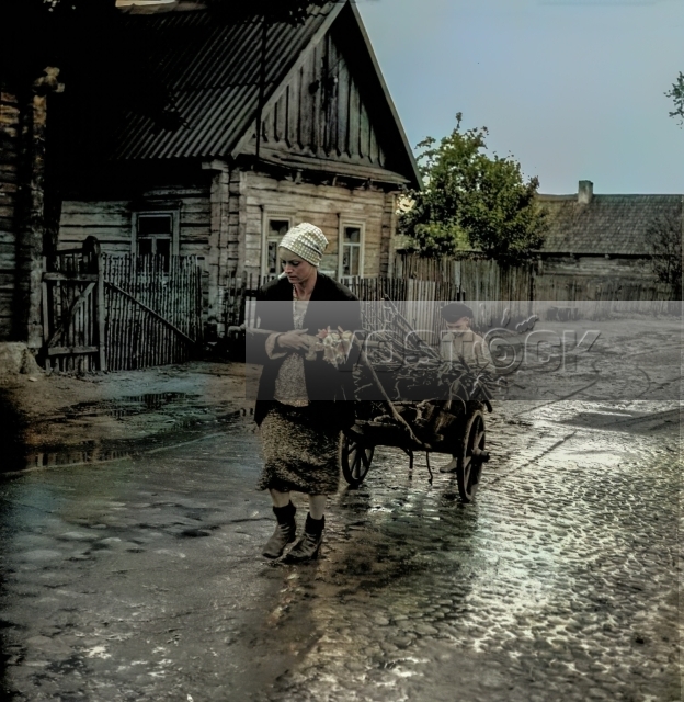 Возьму твою боль (1980)