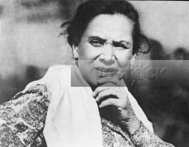 Возвращение сына (1977)