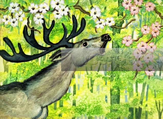 Высохший бук (1980)