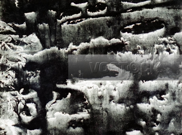 Высохший бук (1980)