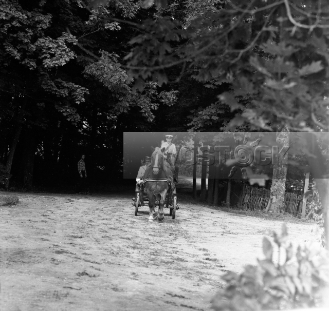 Взгляд змия (1990)