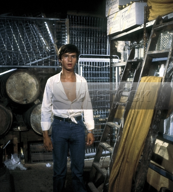 Запретная страсть (1980)